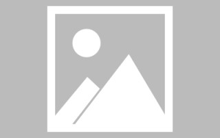 海盐网页设计英文默认字体（网页设置英文转换中文）